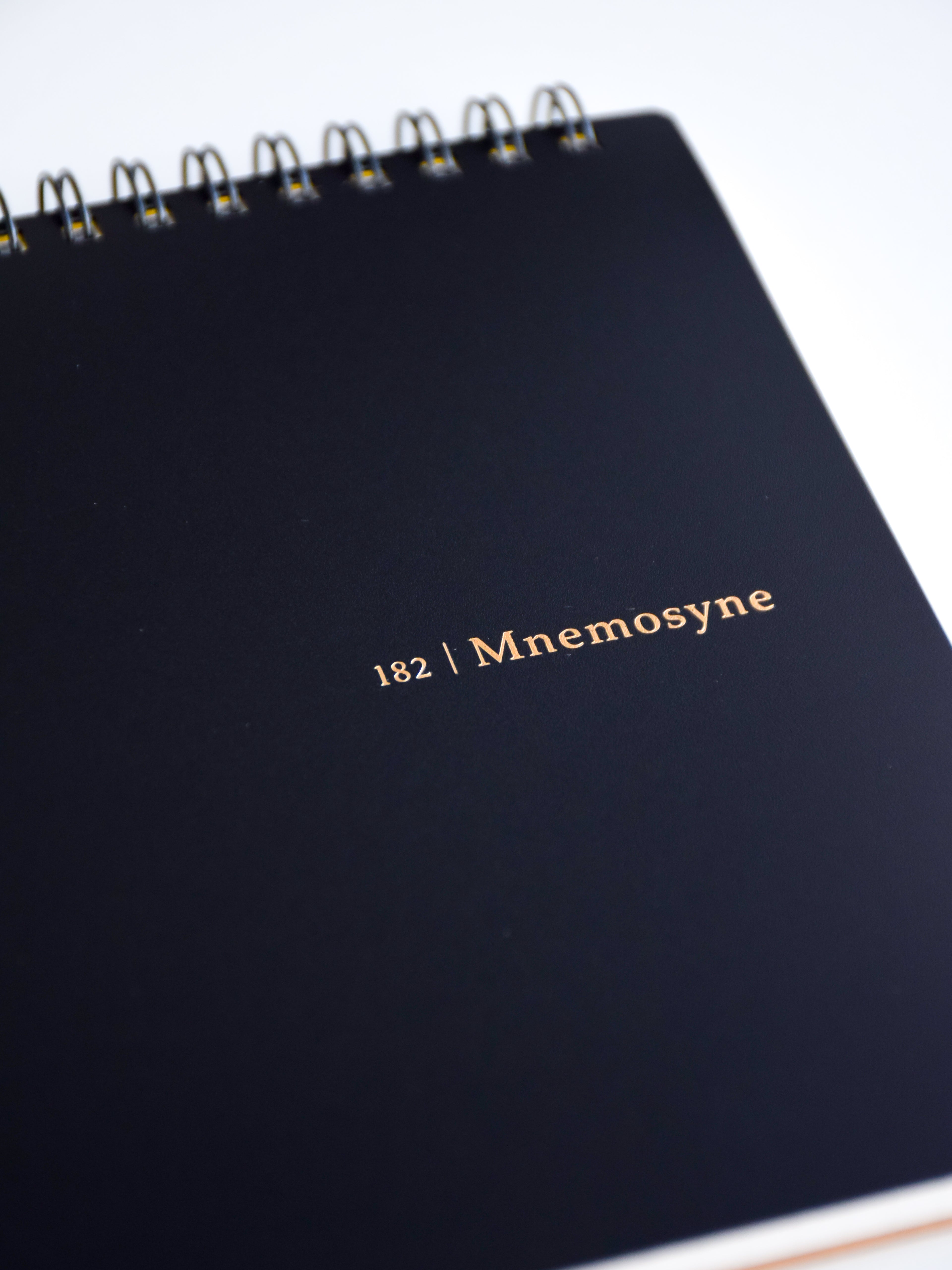 Maruman Mnemosyne N182A Notebook - A5 Landscape - Graph - Made in Japan
