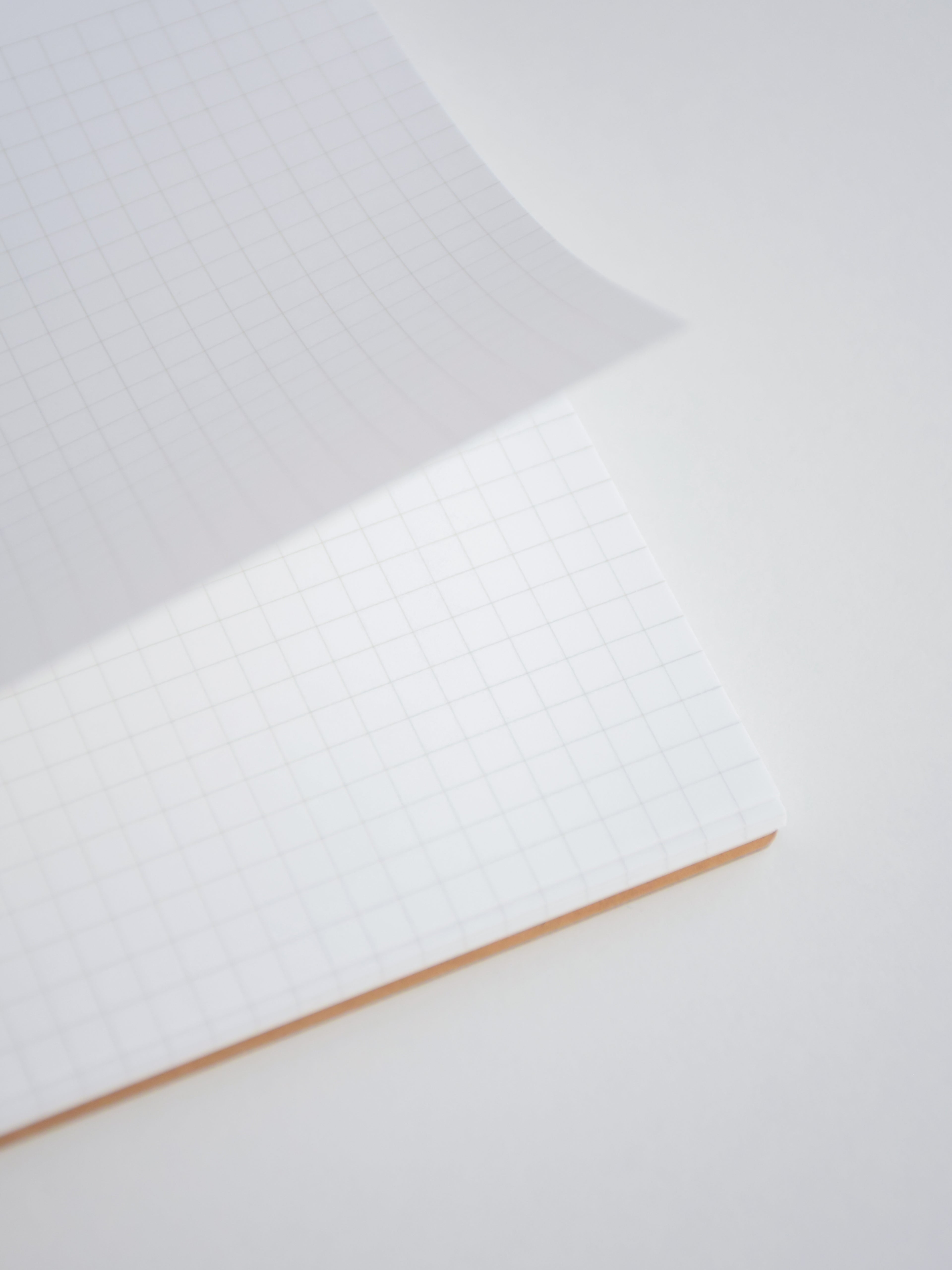 Maruman Mnemosyne N182A Notebook - A5 Landscape - Graph - Made in Japan